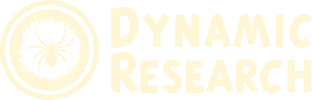 The Logo of Dynamic Research, which is a spider against the backdrop of a shooting star.